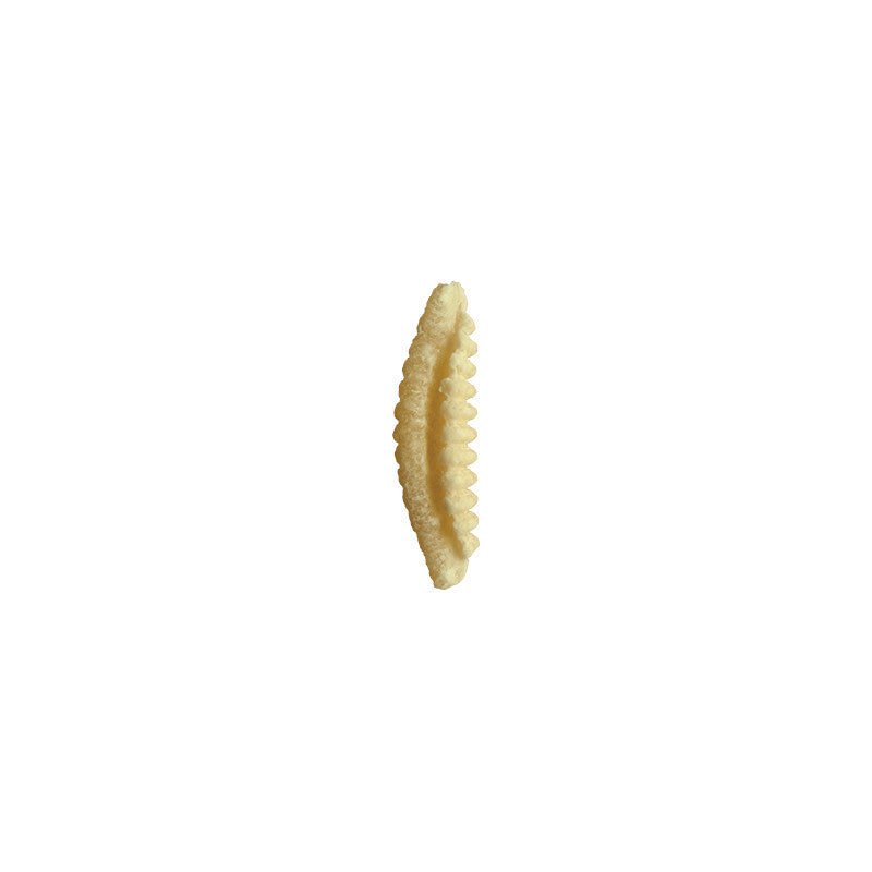 RUSTICHELLA - PASTA GNOCCHETTI SARDI 500G - FERRARI THAILAND