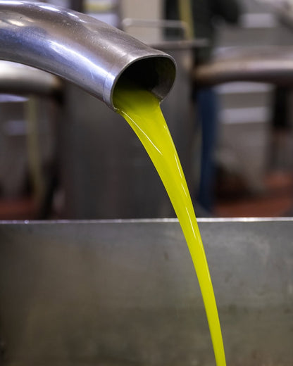 LAUDEMIO - EXTRA-VIRGIN OLIVE OIL 500ML (TUSCANY) - FERRARI THAILAND